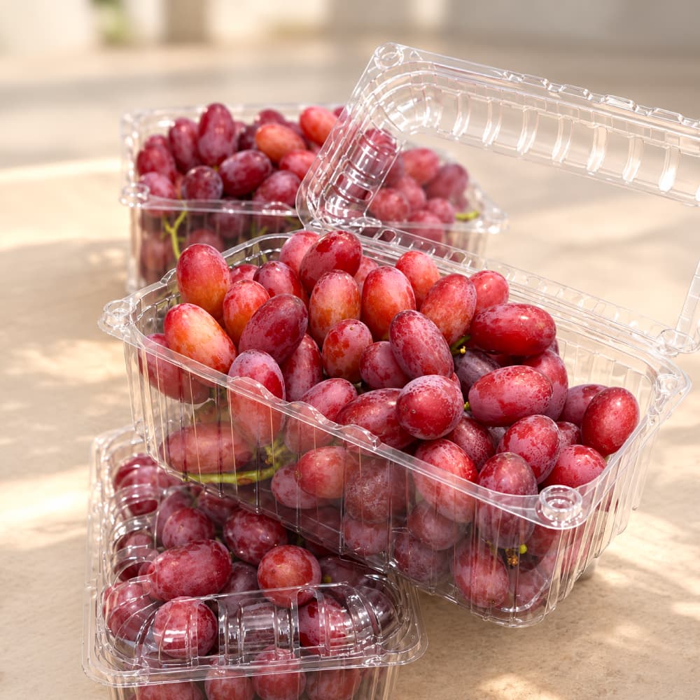 Punnets of red table grapes packed for export
